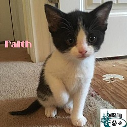 Thumbnail photo of Faith - Pretty Girl! #2