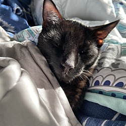 Photo of Zhero