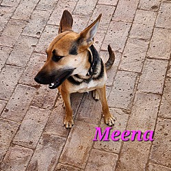 Thumbnail photo of Meena #2