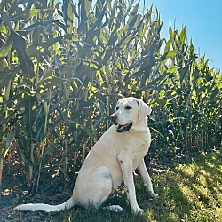 Photo of Wrigley