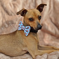 Photo of Bruno