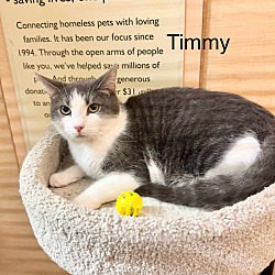 Thumbnail photo of Timmy #1