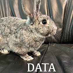 Photo of Data