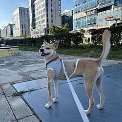 Thumbnail photo of Maru #4