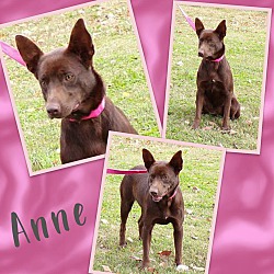 Photo of Anne