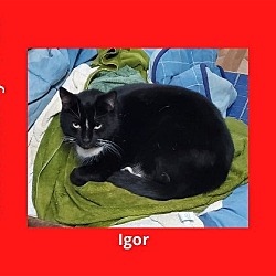 Photo of Igor