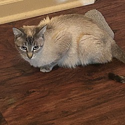 Photo of Mama