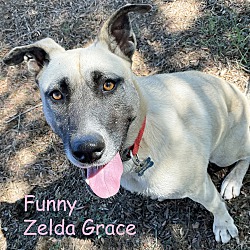 Photo of GRACE