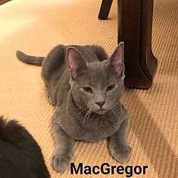 Photo of MacGregor
