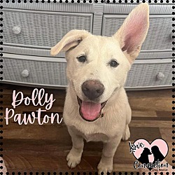 Photo of Dolly Pawton