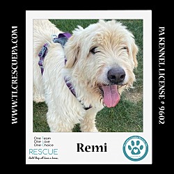 Thumbnail photo of Remi 062224 #1