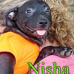 Photo of Nisha