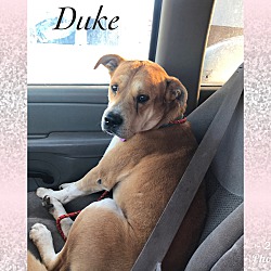 Photo of Duke