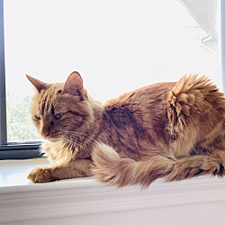 Photo of Coco
