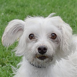 Photo of Fleur