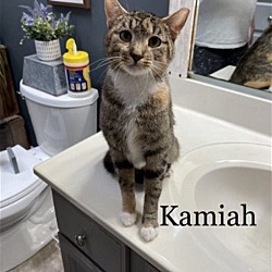 Photo of Kamiah (24-136)