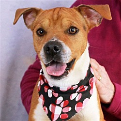 Photo of Oakley