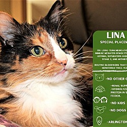 Photo of Lina