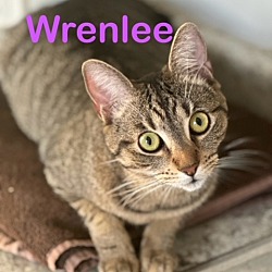 Photo of WRENLEE