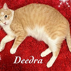 Photo of Deedra