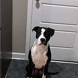 Photo of Ace