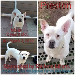 Thumbnail photo of Preston #2