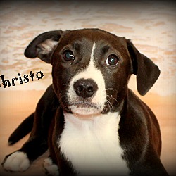Thumbnail photo of Christo ~ meet me! #2