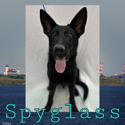 Photo of Spyglass