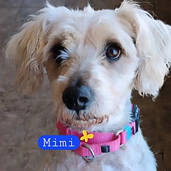 Photo of Mimi