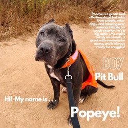 Thumbnail photo of Popeye #1