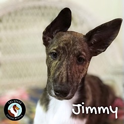 Thumbnail photo of Jimmy #2
