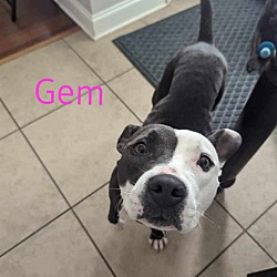 Thumbnail photo of GEM #3