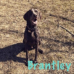 Thumbnail photo of Brantley #2
