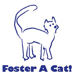 Photo of Foster A Cat