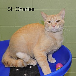 Thumbnail photo of St. Charles #1