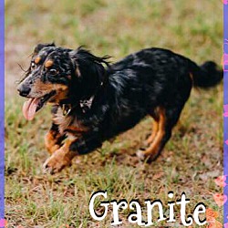 Thumbnail photo of Granite #2