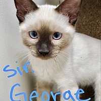 Photo of Sir George