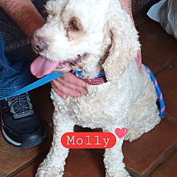Photo of Molly