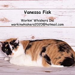 Photo of VANESSA FISK
