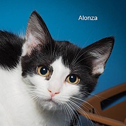 Photo of Alonza