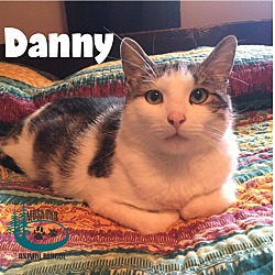 Thumbnail photo of Danny w/Amber July 2017 #1