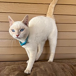 Photo of Quinn