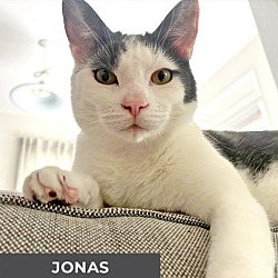 Thumbnail photo of Jonas #1