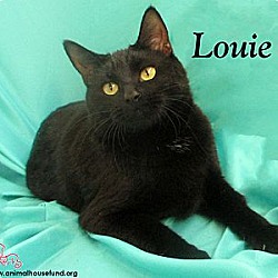 Thumbnail photo of Ms. Louie #3