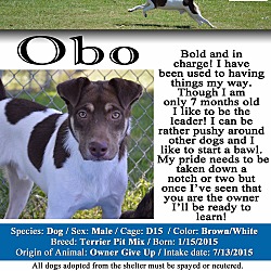 Thumbnail photo of Obo #2