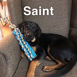 Photo of Saint