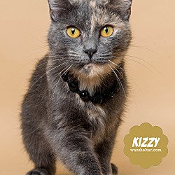 Thumbnail photo of Kizzy #1