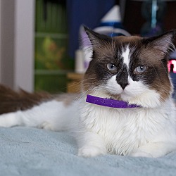 Photo of Pretty Boy