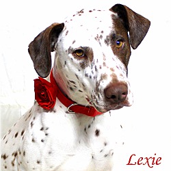 Thumbnail photo of Lexie ~ meet me! #2