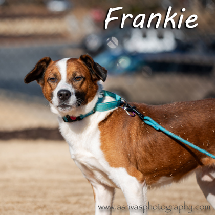Photo of Frankie*